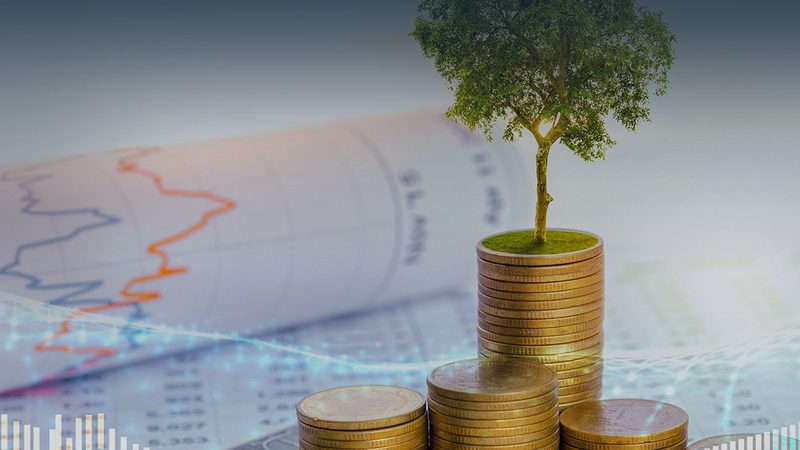 科技公司薪酬绩效咨询定制：揭秘优化人才激励的奥秘**